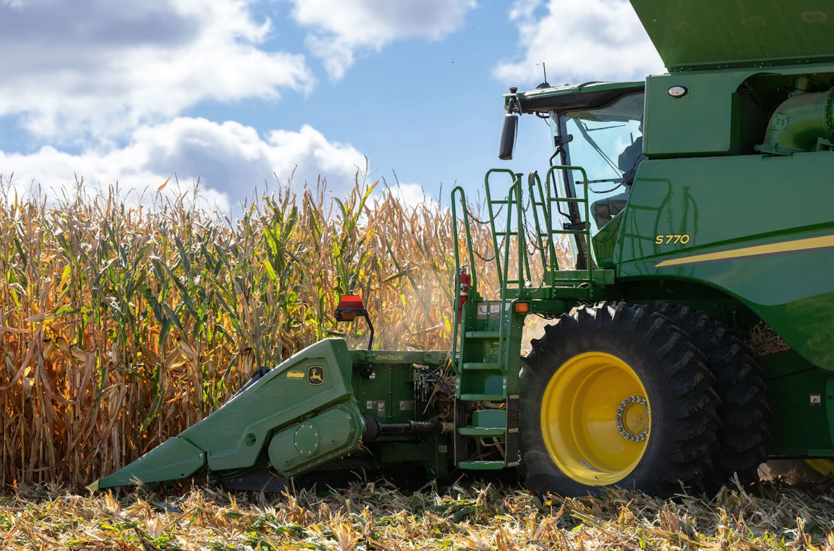 Combine Harvesting Corn