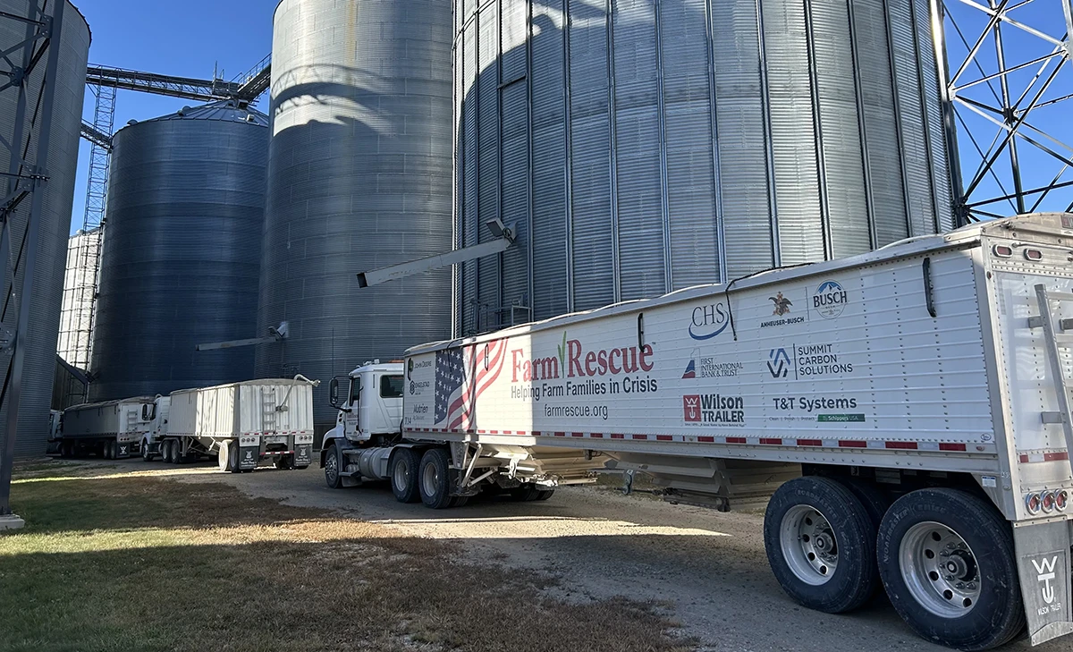 Grain Elevators