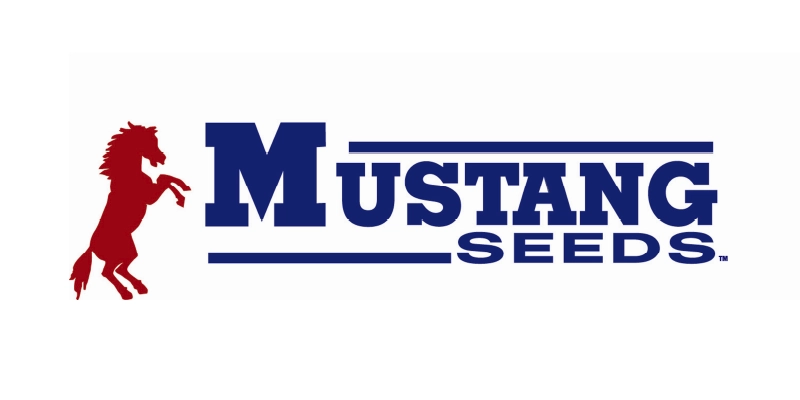 Mustang Seeds